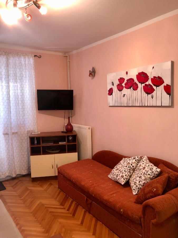 Studio Apartman Sanja Zlobin Bagian luar foto